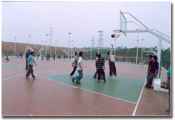 学校