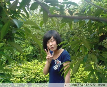 成员